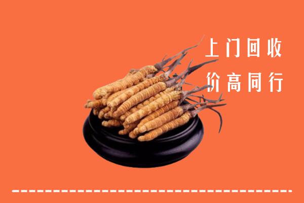 收购行情：上海市奉贤冬虫夏草回收多少钱每克