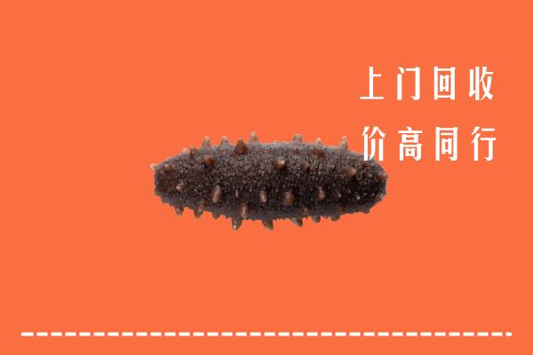 附近收购：上海市奉贤回收海参