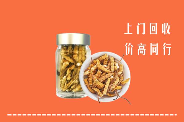 上海市奉贤回收冬虫夏草