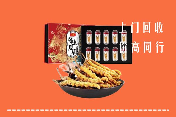 上海市奉贤回收虫草
